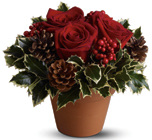 Holly Holiday from Roses and More Florist in Dallas, TX