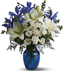 Blue Horizons from Roses and More Florist in Dallas, TX