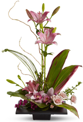 Imagination Blooms from Roses and More Florist in Dallas, TX