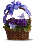 Violets and Butterflies from Roses and More Florist in Dallas, TX