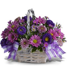 Daisy Day Dreams from Roses and More Florist in Dallas, TX