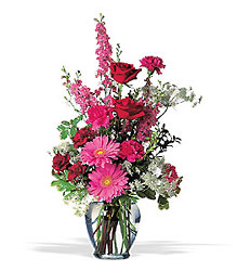 Love Lace from Roses and More Florist in Dallas, TX