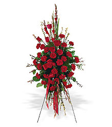 Red Regards Spray from Roses and More Florist in Dallas, TX