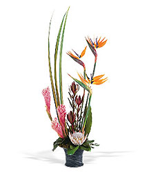 Tropical Paradise Arrangement from Roses and More Florist in Dallas, TX