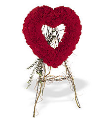 Forever Love from Roses and More Florist in Dallas, TX