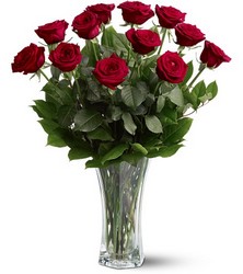 A Dozen Red Roses from Roses and More Florist in Dallas, TX