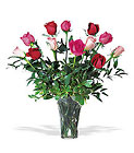 A Dozen Multi-colored Roses from Roses and More Florist in Dallas, TX