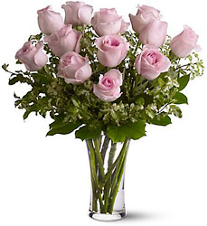 A Dozen Pink Roses from Roses and More Florist in Dallas, TX
